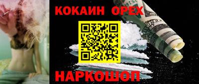 индика Лесосибирск