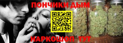 индика Лесосибирск