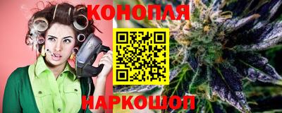 индика Лесосибирск