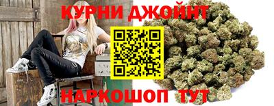 гашик Ливны